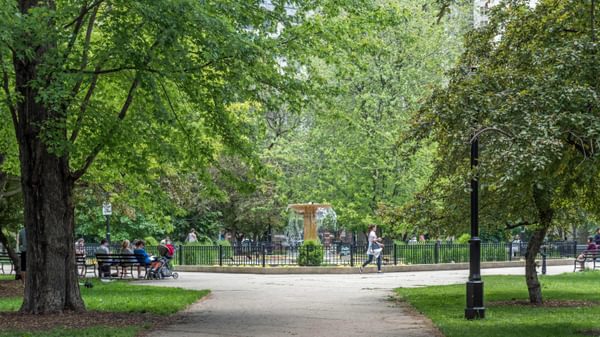 Park Washington Square 0946