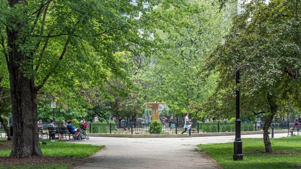 Park Washington Square 0946